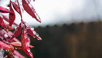 內蒙古2021成考專升本考試有哪些科目