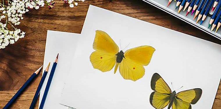 2018年自考《C程序設計》復習資料 2018年自考《C程序設計》復習資料