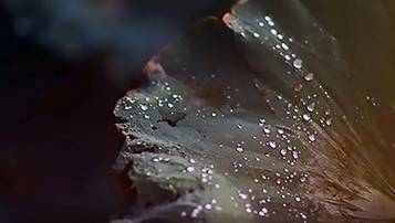 會計法與審計法2021年自考最新復習資料