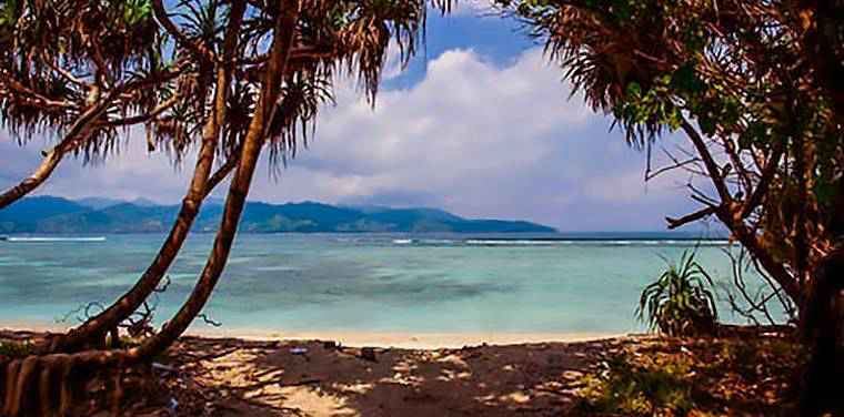 2018年成考高起點語文古詩提分題 2018年成考高起點語文古詩提分題