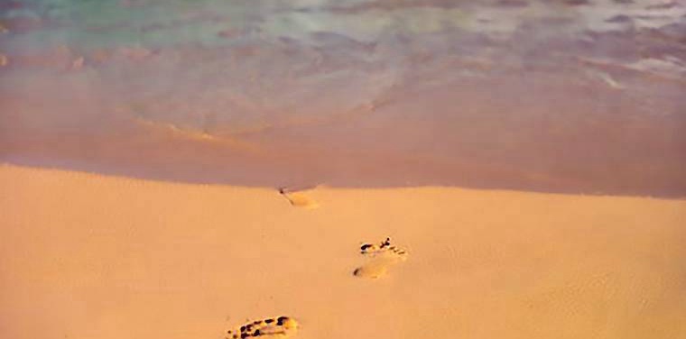 2018年成人高考專升本考什么科目