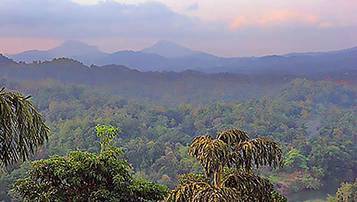 廣西省2021年自考考試取消了嗎