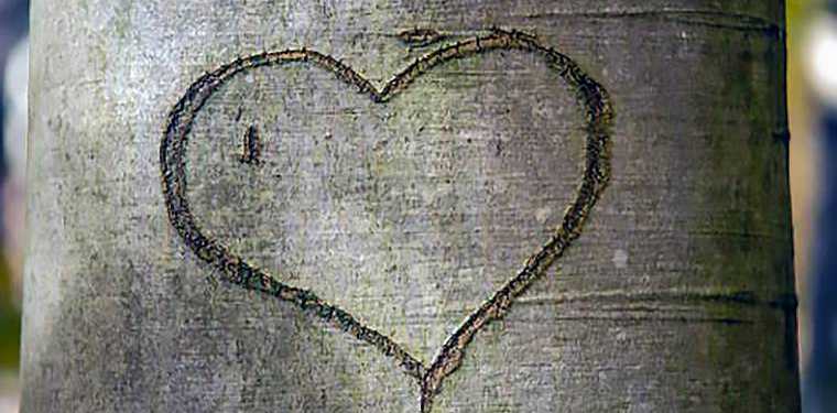 2018年浙江下半年自考專科實踐課一覽表 2018年浙江下半年自考專科實踐課一覽表