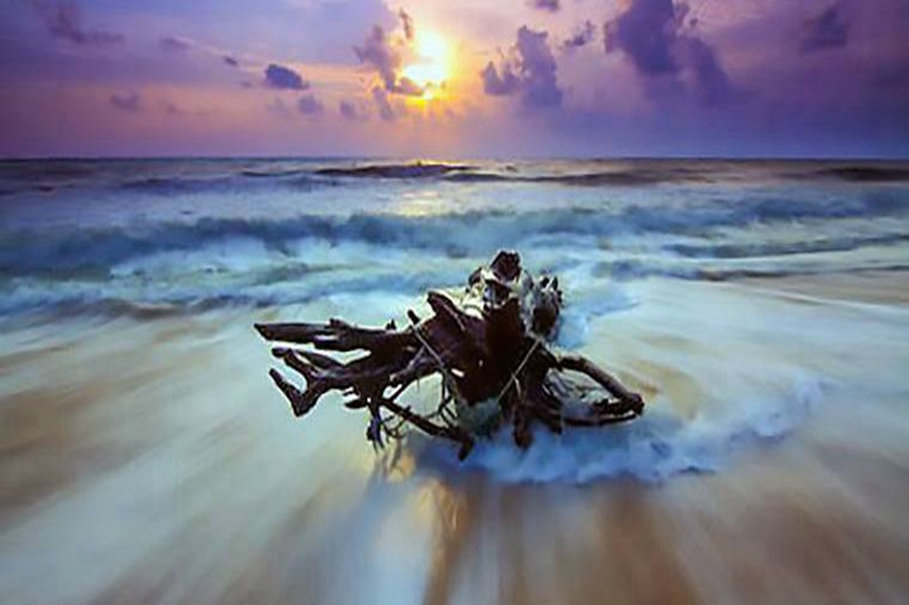 2018年遼寧成人高考成績查詢?nèi)肟谝验_通