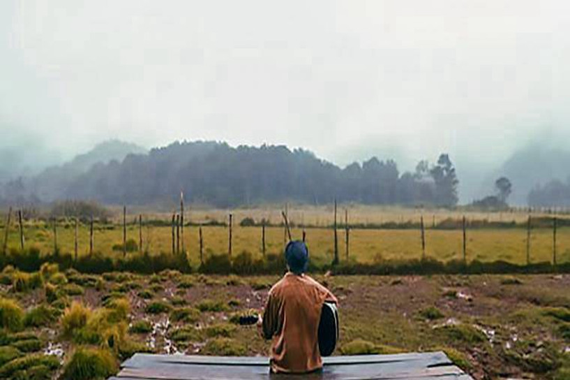 2018年遼寧成人高考成績(jī)查詢(xún)什么時(shí)候查成績(jī)