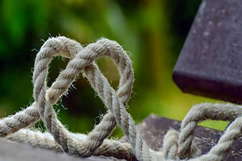 2018年福建成人高考什么時候查成績 2018年福建成人高考什么時候查成績