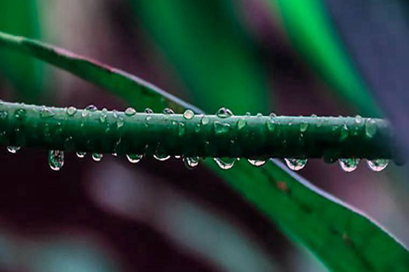 2018年重慶成人高考成績什么時候可以查詢