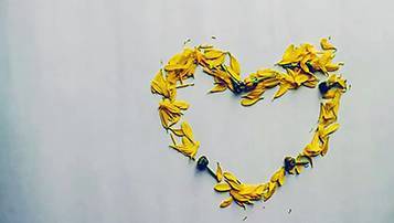 浙江2021年成人高考成績查詢系統什么時候開通