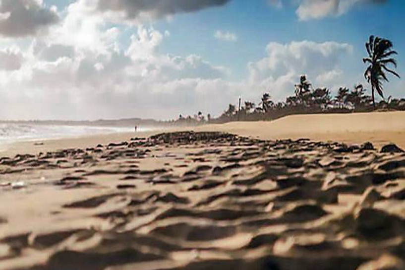 2018年浙江成人高考成績查詢?nèi)肟谝验_通