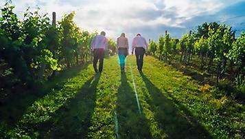 天津成人高考成績查詢系統什么時候開通