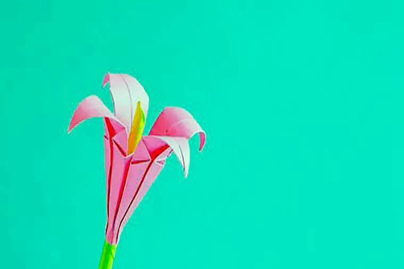 2018甘肅成人高考成績查詢入口已開通