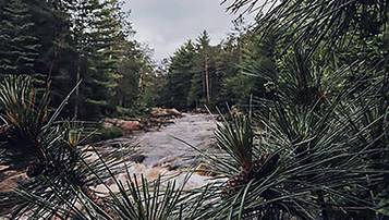 山東2021自考考試具體的課程安排和規定