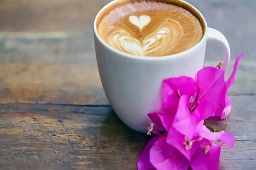 2018年廣西成人高考錄取分數線已公布