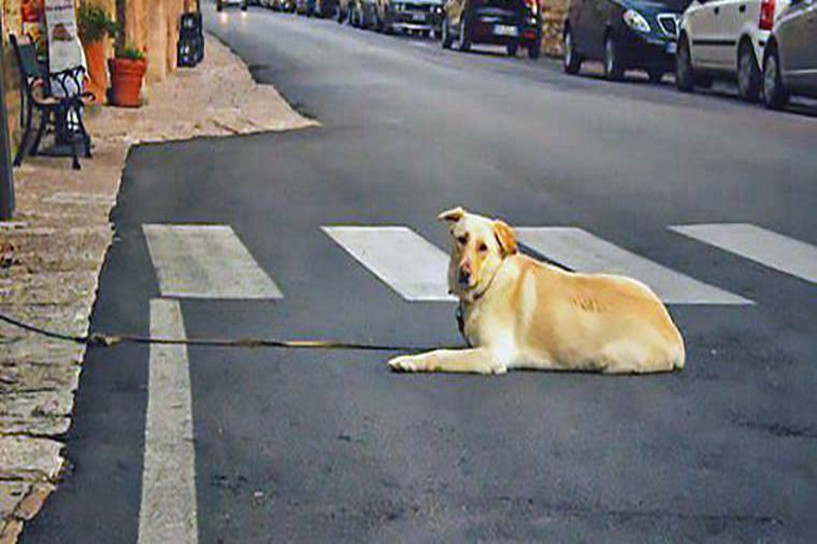 2020年新疆成人高考報(bào)名時(shí)間是什么時(shí)候