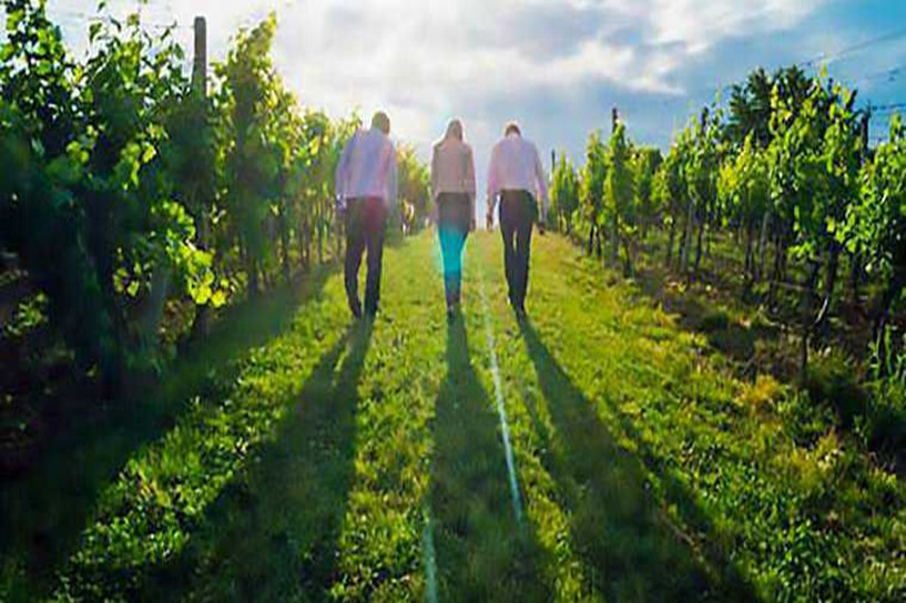 2020年陜西成人高考考試時間是什么時候