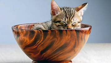 2021福建成人高考考試時間跟去年一樣嗎