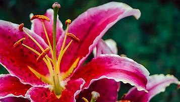 2021北京成人高考考試時間大概是什么時候