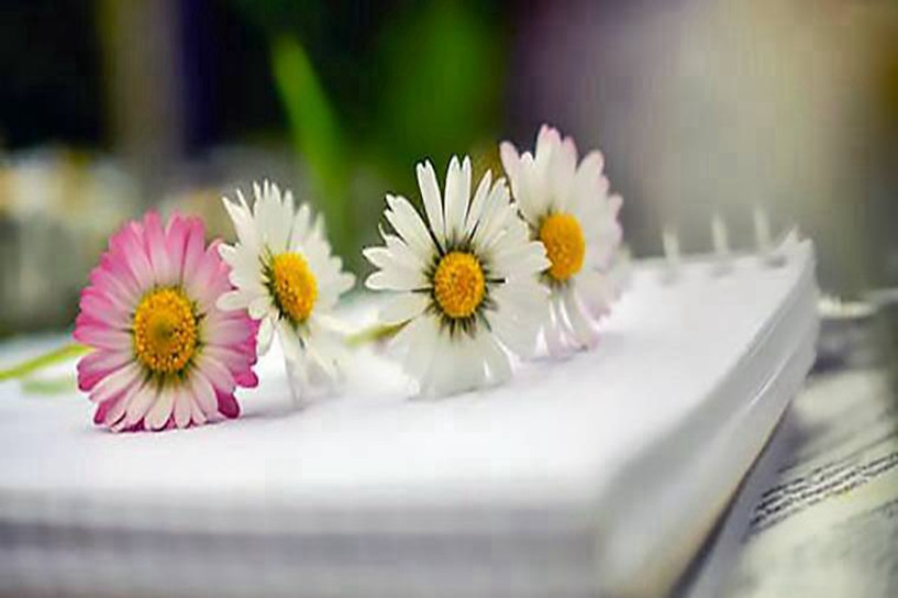 2020年自考時(shí)間是什么時(shí)候 可以選擇哪些專(zhuān)業(yè)