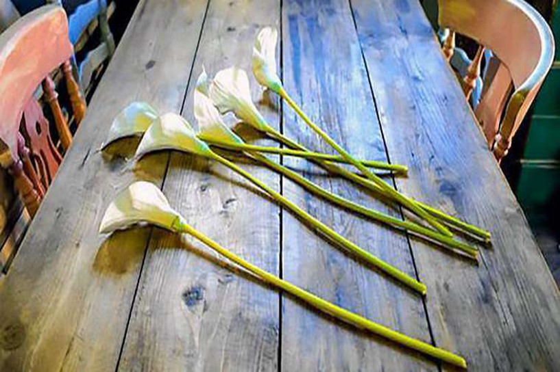 2020年成人自考報名具備哪些條件 怎樣參加自考