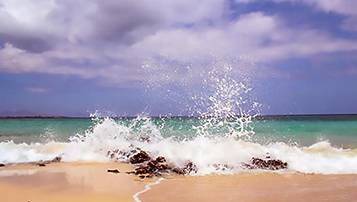 報考成人高考有哪些專業(yè)比較熱門