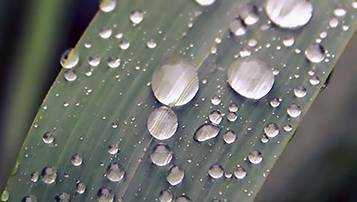 成人高考的報名流程是怎樣的