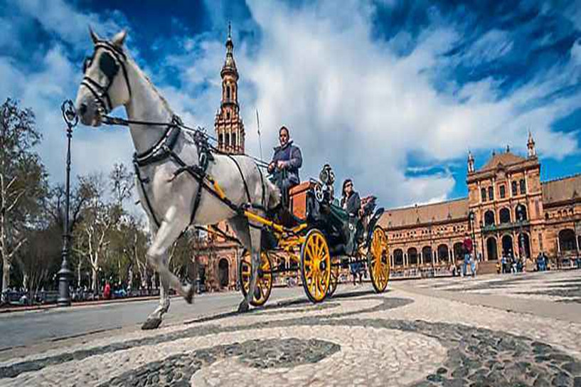 自學考試專科選什么專業比較好