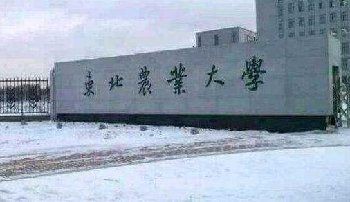 東北農業大學成人教育學院招生公告2023年