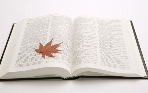 新型民主和新型專政的國家具體是指