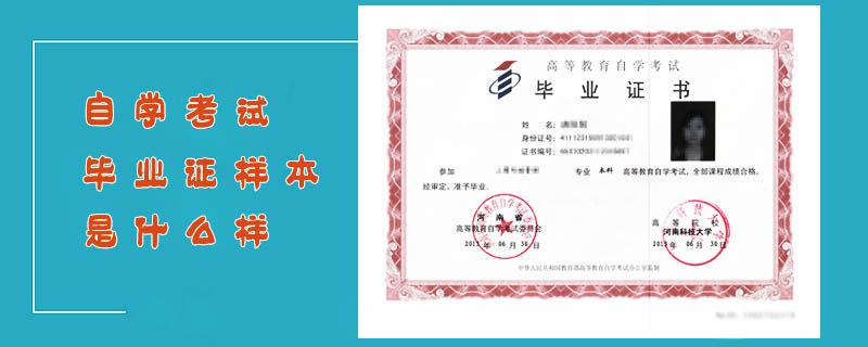 自學考試畢業證樣本是什么樣