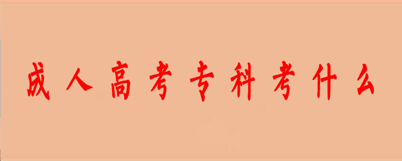 成人高考專科考什么