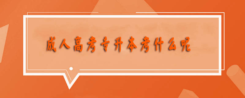 成人高考專升本考什么呢