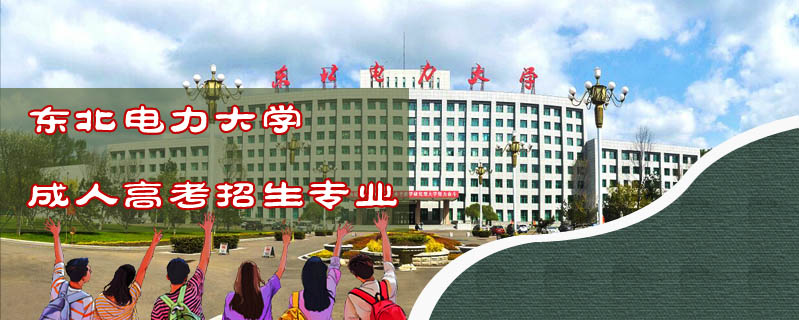 東北電力大學成人高考招生專業