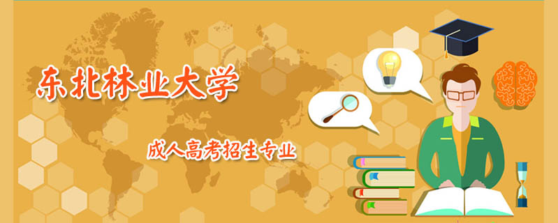 東北林業大學成人高考招生專業