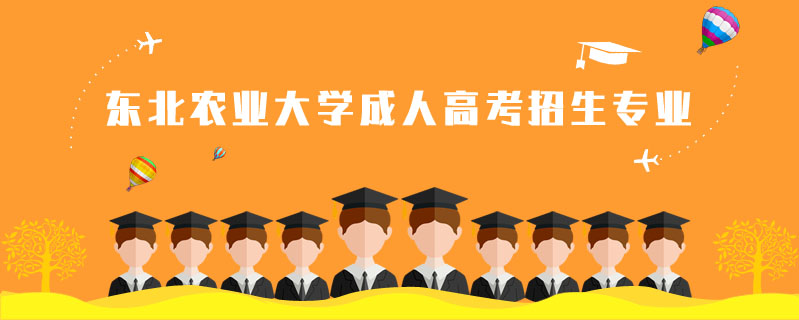 東北農(nóng)業(yè)大學(xué)成人高考招生專業(yè)