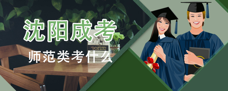 沈陽成考師范類考什么