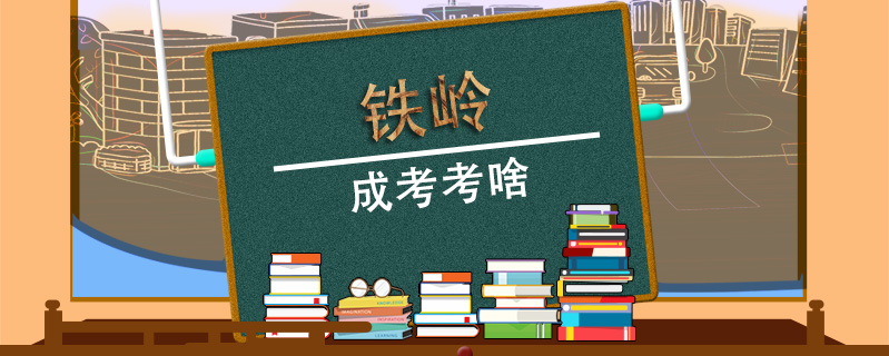 鐵嶺成考考啥