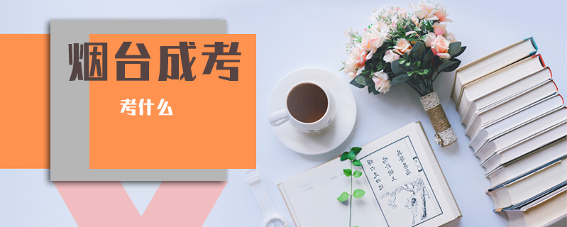 煙臺(tái)成考考什么