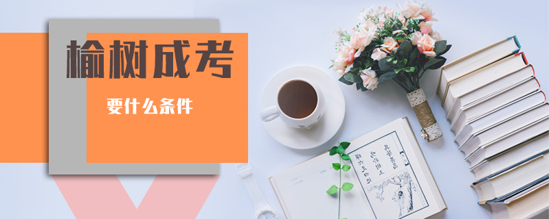 榆樹成考要什么條件