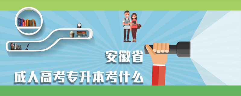 安徽省成人高考專升本考什么
