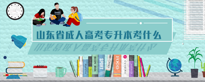 山東省成人高考專升本考什么