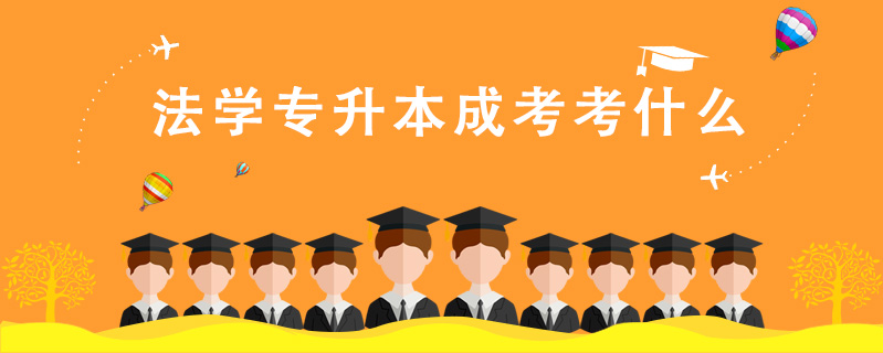法學專升本成考考什么