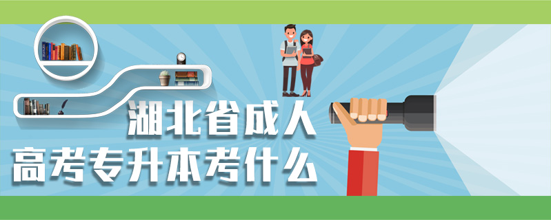 湖北省成人高考專升本考什么