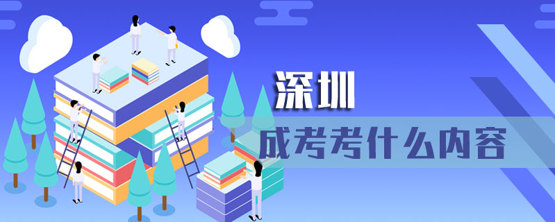 深圳成考考什么內容