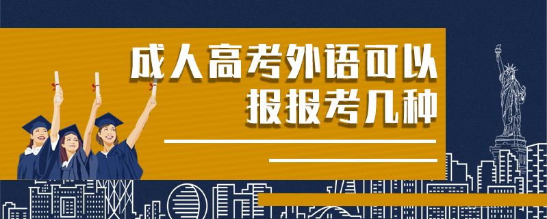 成人高考外語可以報報考幾種