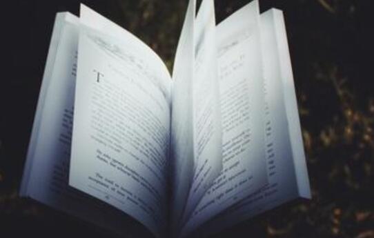 下列記敘文，作者在全文最后進(jìn)行評(píng)議的是(　)__自考《大學(xué)語(yǔ)文》真題