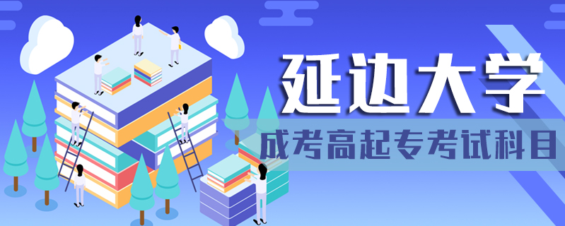 延邊大學(xué)成考高起專考試科目