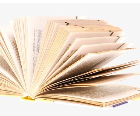 《早雁》中作者擔憂的主要對象是(　)__《大學語文》自考