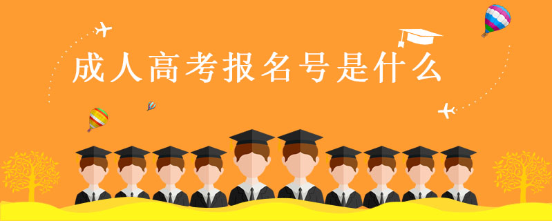 成人高考報名號是什么