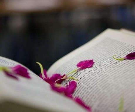 下列《香市》語句中，使用反襯手法的有(　)__自考《大學語文》解析