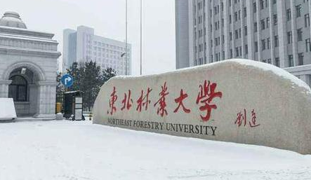 東北林業(yè)大學(xué)成人高考2021年專業(yè)【最新】